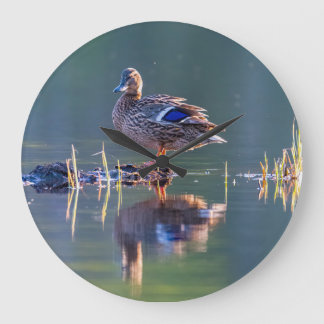 Mallard duck at sunset large clock