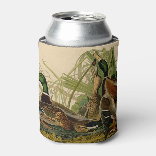 Mallard Duck Audubon Bird Painting Can Cooler (Can Front)