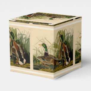 Mallard Duck Audubon Bird Painting Favor Box