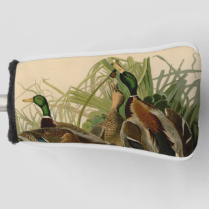 Mallard Duck Audubon Bird Painting Golf Head Cover