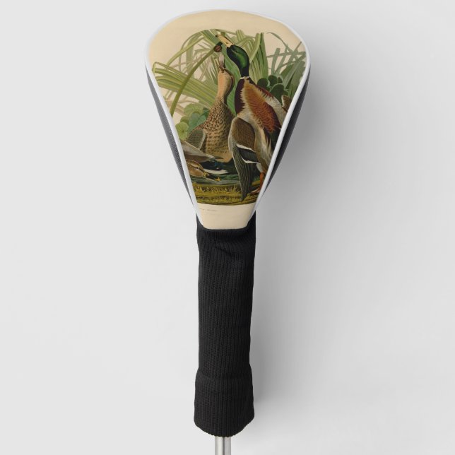 Mallard Duck Audubon Bird Painting Golf Head Cover (Front)