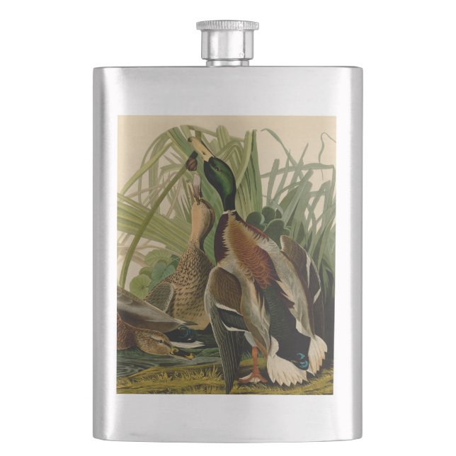 Mallard Duck Audubon Bird Painting Hip Flask (Front)