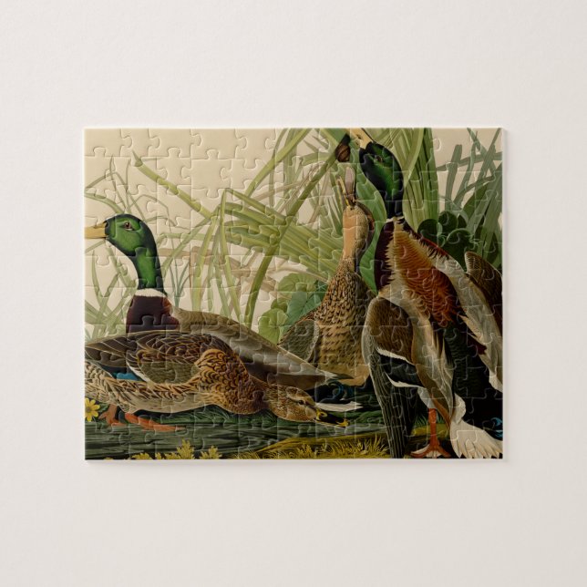 Mallard Duck Audubon Bird Painting Jigsaw Puzzle (Horizontal)