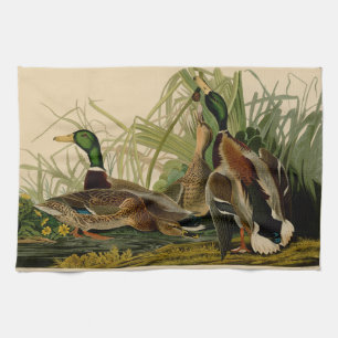 Mallard Duck Audubon Bird Painting Kitchen Towel