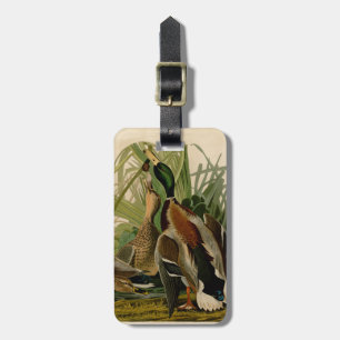 Mallard Duck Audubon Bird Painting Luggage Tag