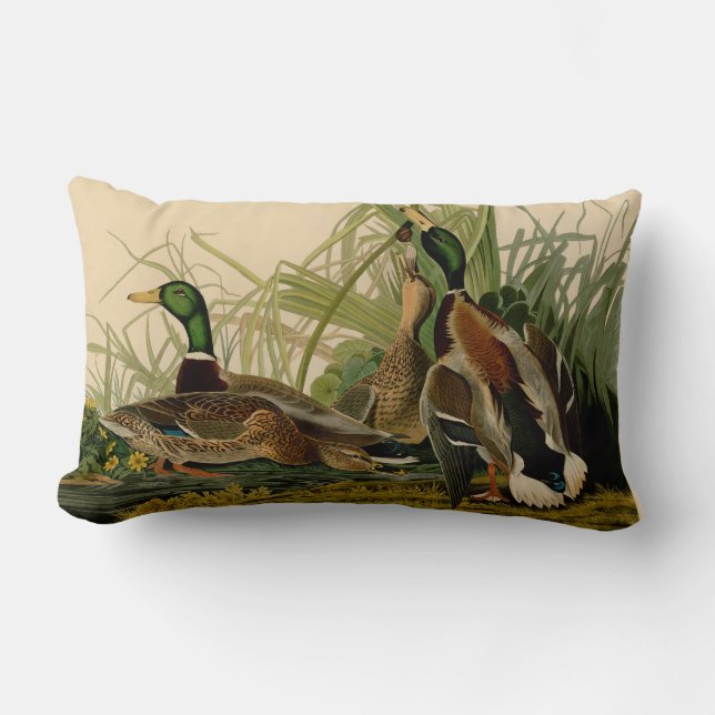 Mallard Duck Audubon Bird Painting Lumbar Pillow (Front)