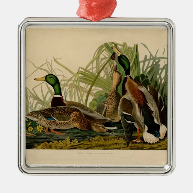 Mallard Duck Audubon Bird Painting Metal Ornament (Front)