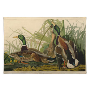 Mallard Duck Audubon Bird Painting Placemat