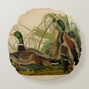 Mallard Duck Audubon Bird Painting Round Pillow