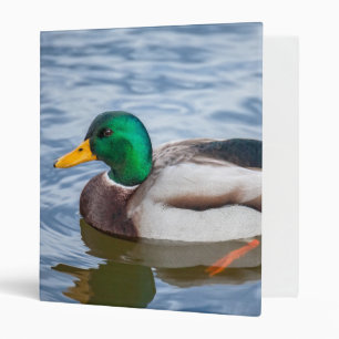 Mallard Duck Binder