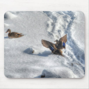 Mallard Duck Birdlover Wildlife Photo Mouse Pad