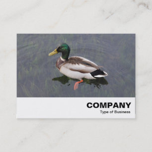 Mallard Duck Business Card