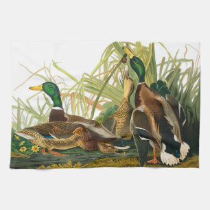 Mallard Duck by John James Audubon Kitchen Towel