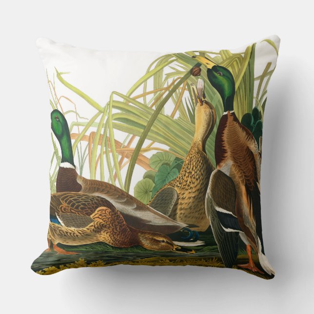 Mallard Duck by John James Audubon Throw Pillow (Front)