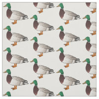 Mallard duck cartoon illustration
