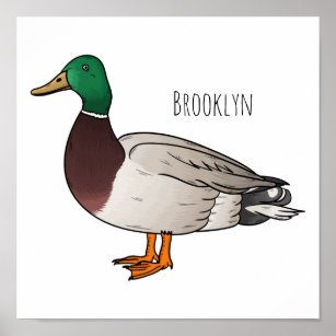 Mallard duck cartoon illustration  poster