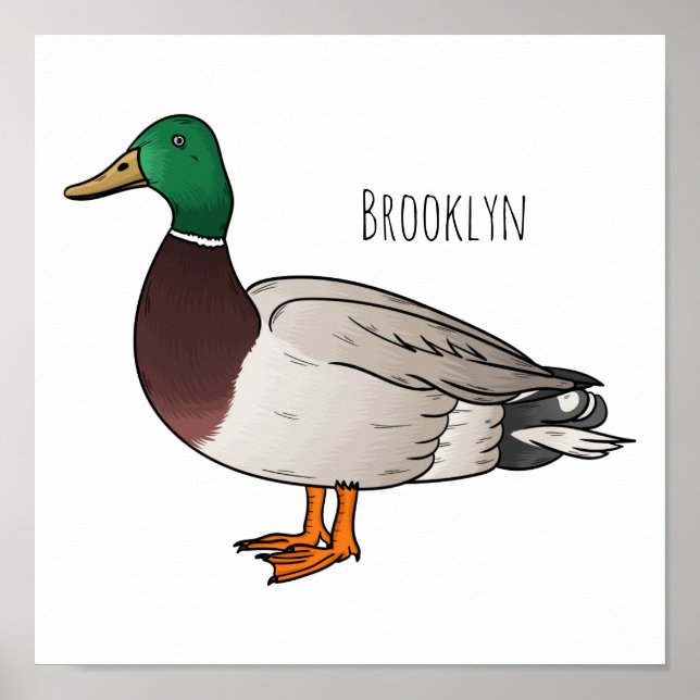 Mallard duck cartoon illustration  poster (Front)