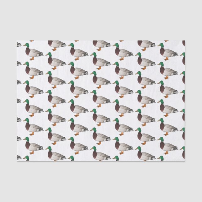 Mallard duck cartoon illustration  tissue paper (Front)