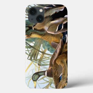 Mallard Duck iPhone 13 Case