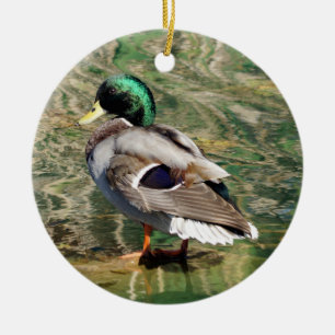 Mallard Duck Christmas Ornament