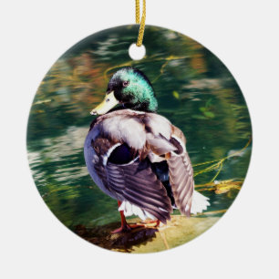 Mallard Duck Christmas Ornament