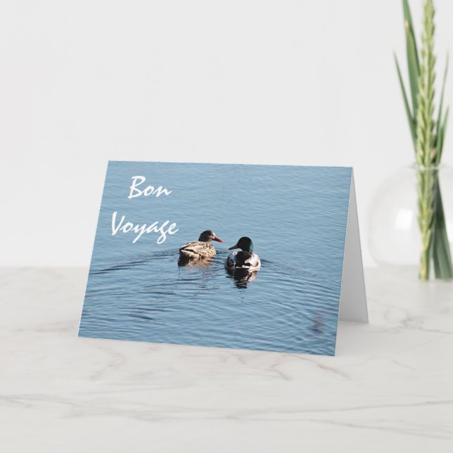 Mallard duck couple card (Front)