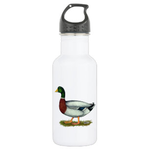 Mallard Duck Drake 532 Ml Water Bottle