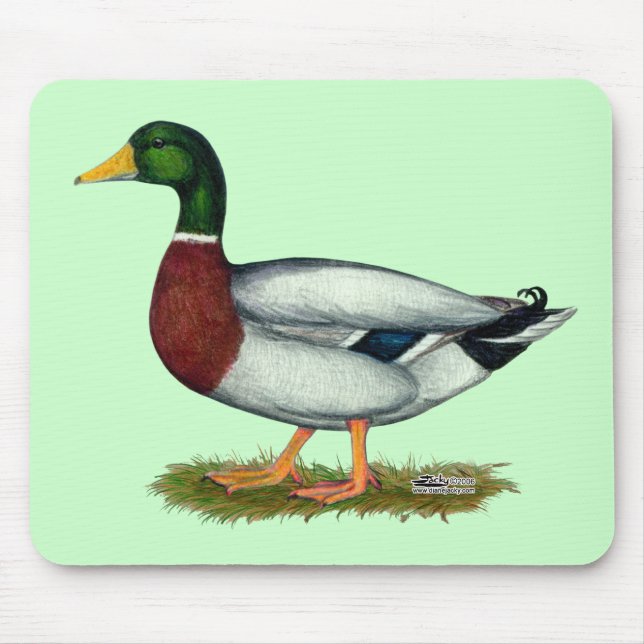 Mallard Duck Drake Mouse Pad (Front)