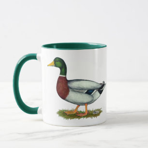Mallard Duck Drake Mug