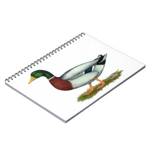 Mallard Duck Drake Notebook