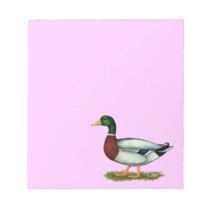 Mallard Duck Drake Notepad