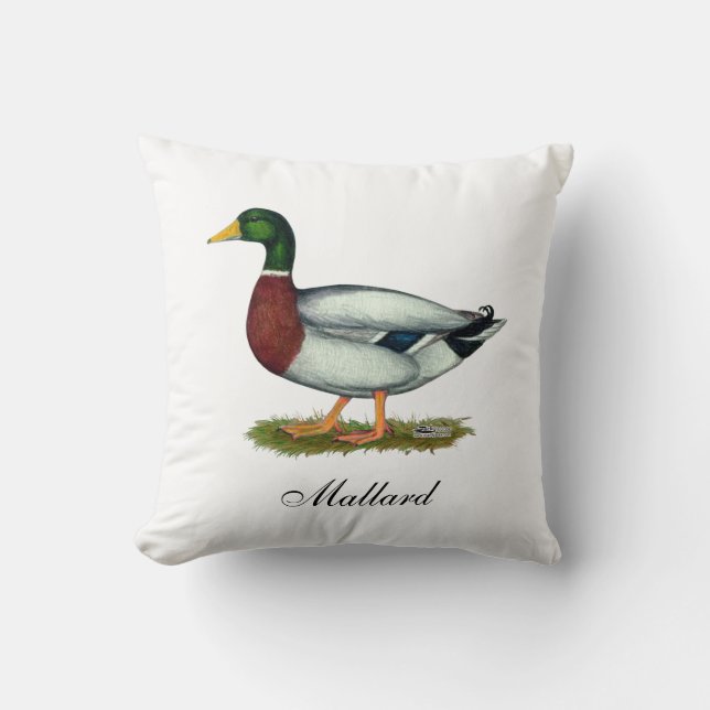 Mallard Duck Drake Throw Pillow (Front)