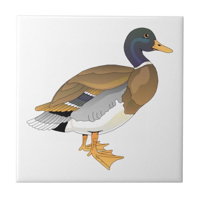 Mallard Duck (Drake) Tile (Front)