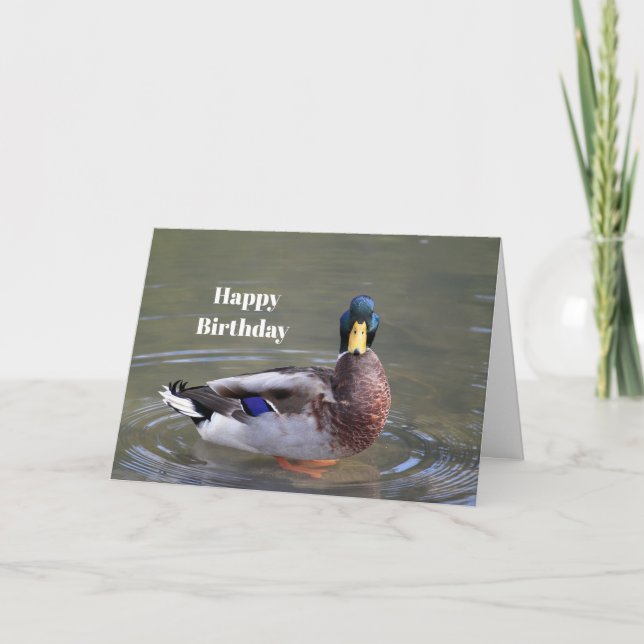 Mallard Duck Drake Water Photo Birthday Card (Front)