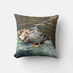 Mallard Duck (Female) on Mossy Rock Pillow