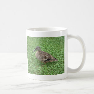 Mallard Duck Female Photo Coffee Mug