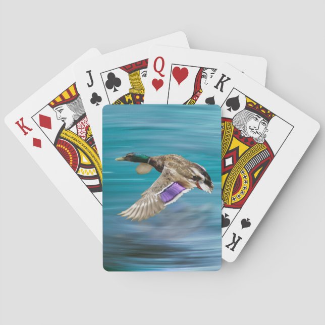 Mallard duck flying playing cards (Back)