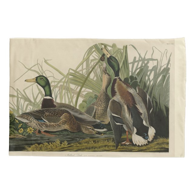 Mallard Duck from Audubon's Birds of America Pillowcase (Back-Left)