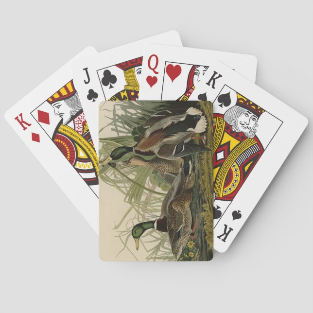 Mallard Duck from Audubon's Birds of America Playing Cards (Back)