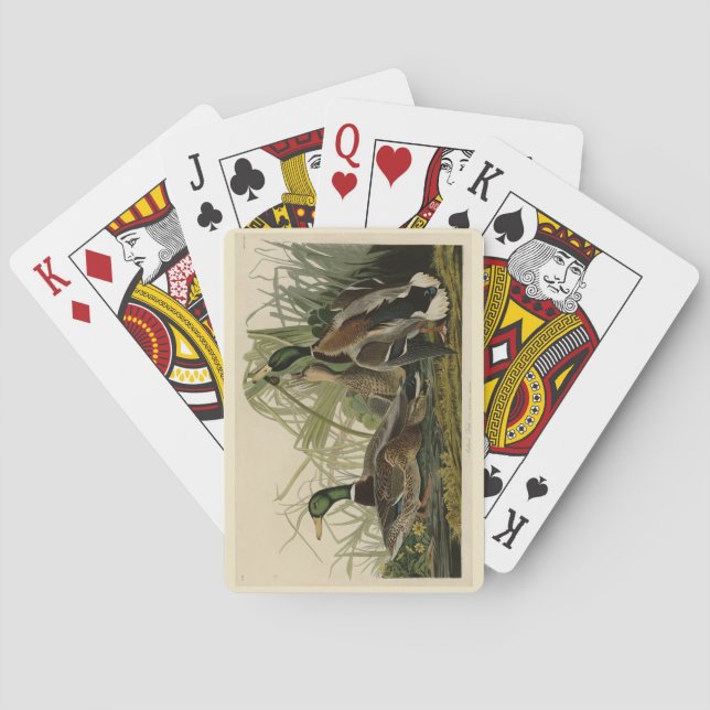 Mallard Duck from Audubon's Birds of America Playing Cards (Back)