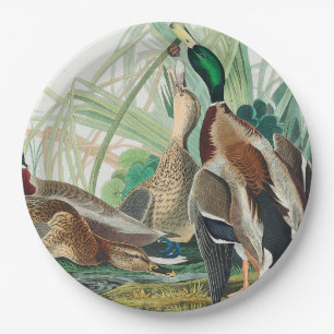 Mallard Duck from Birds of America (Audubon) Paper Plate