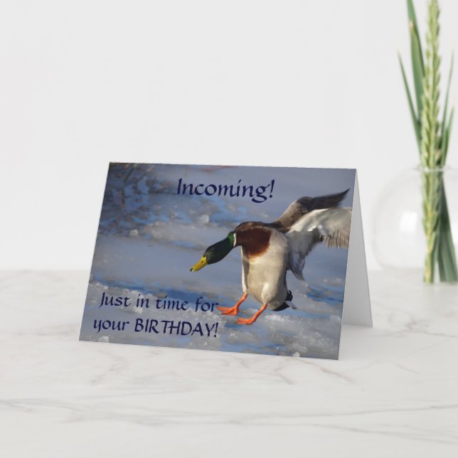 Mallard Duck Greeting Birthday Card (Front)