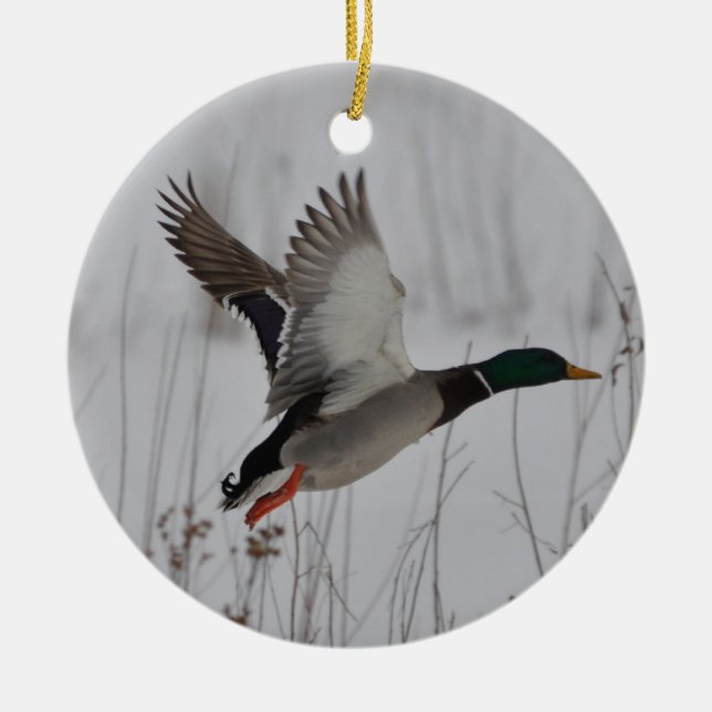 Mallard Duck Home Decor Designs by Janz Ceramic Ornament (Front)