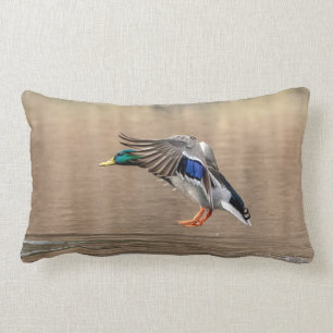 Mallard Duck in flight Lumbar Pillow
