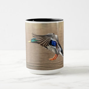 Mallard Duck in flight Mug