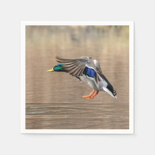 Mallard Duck in flight Napkin