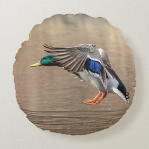 Mallard Duck in flight Round Pillow