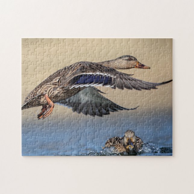 Mallard Duck in the Hudson Valle Jigsaw Puzzle (Horizontal)