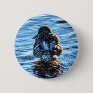 Mallard Duck in Winter River - Wildlife Photo 2 Inch Round Button