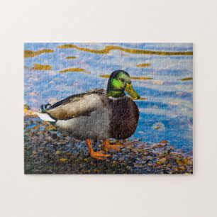 Mallard Duck Jigsaw puzzle